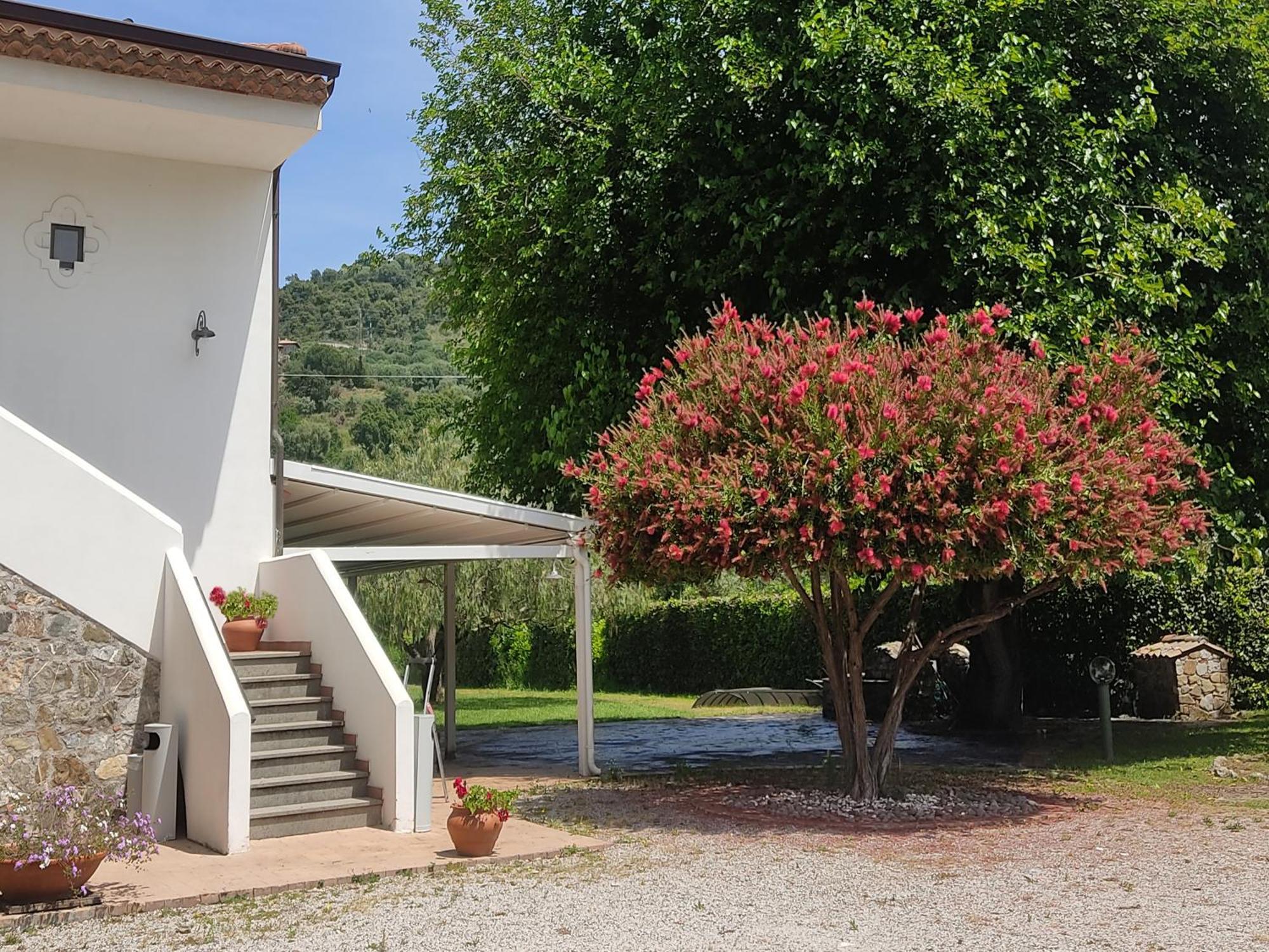Krio Gelsomare Hotel Policastro Bussentino Bagian luar foto
